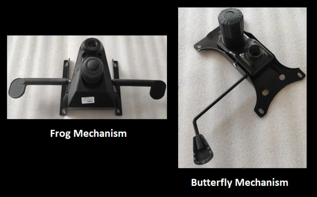 frog vs butterfly frog vs butterfly